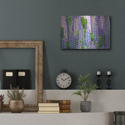 Luxe Metal Art 'Blue Pink Lupine Field' by Cora Niele, Metal Wall Art,16x12