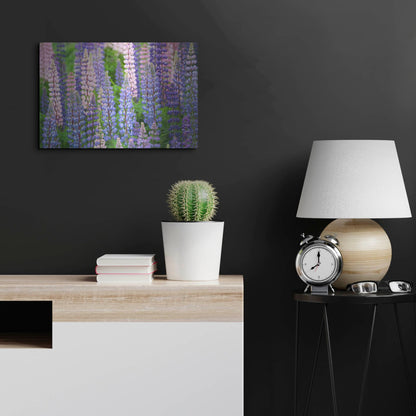 Luxe Metal Art 'Blue Pink Lupine Field' by Cora Niele, Metal Wall Art,24x16