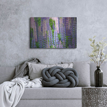 Luxe Metal Art 'Blue Pink Lupine Field' by Cora Niele, Metal Wall Art,36x24