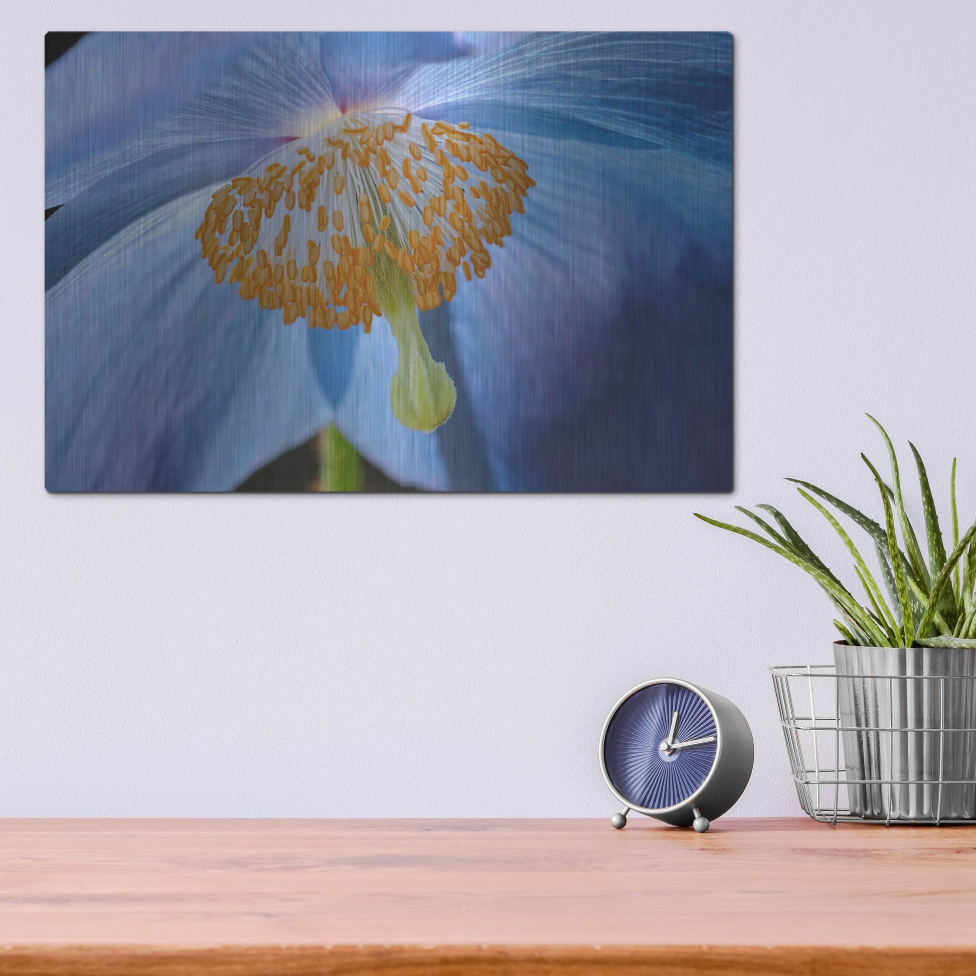 Luxe Metal Art 'Blue Poppy' by Cora Niele, Metal Wall Art,16x12