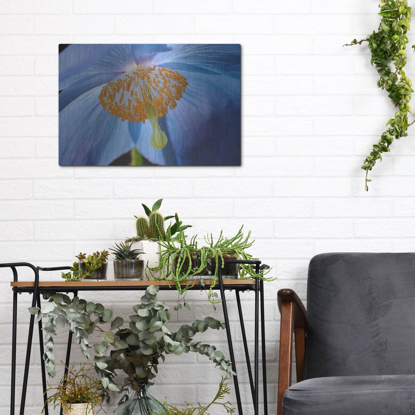 Luxe Metal Art 'Blue Poppy' by Cora Niele, Metal Wall Art,16x12