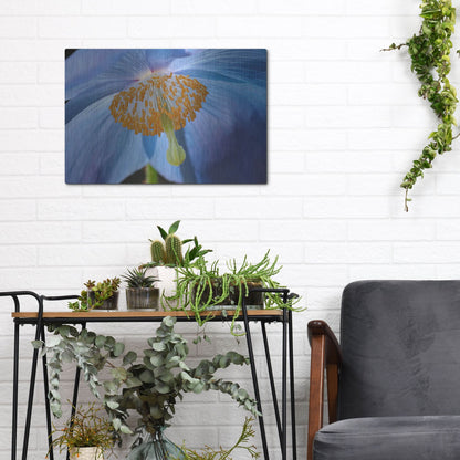 Luxe Metal Art 'Blue Poppy' by Cora Niele, Metal Wall Art,16x12