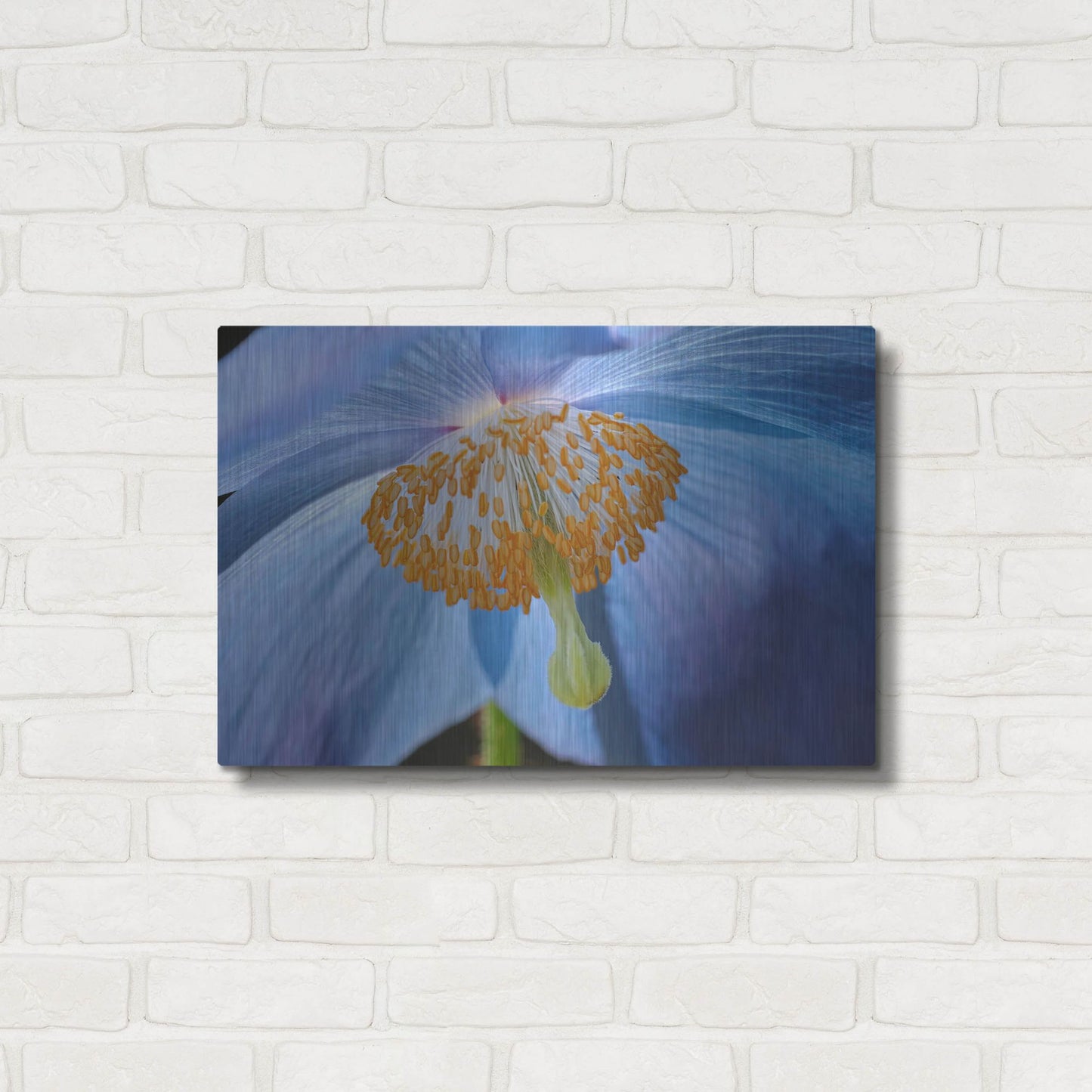 Luxe Metal Art 'Blue Poppy' by Cora Niele, Metal Wall Art,24x16