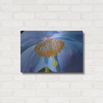Luxe Metal Art 'Blue Poppy' by Cora Niele, Metal Wall Art,24x16
