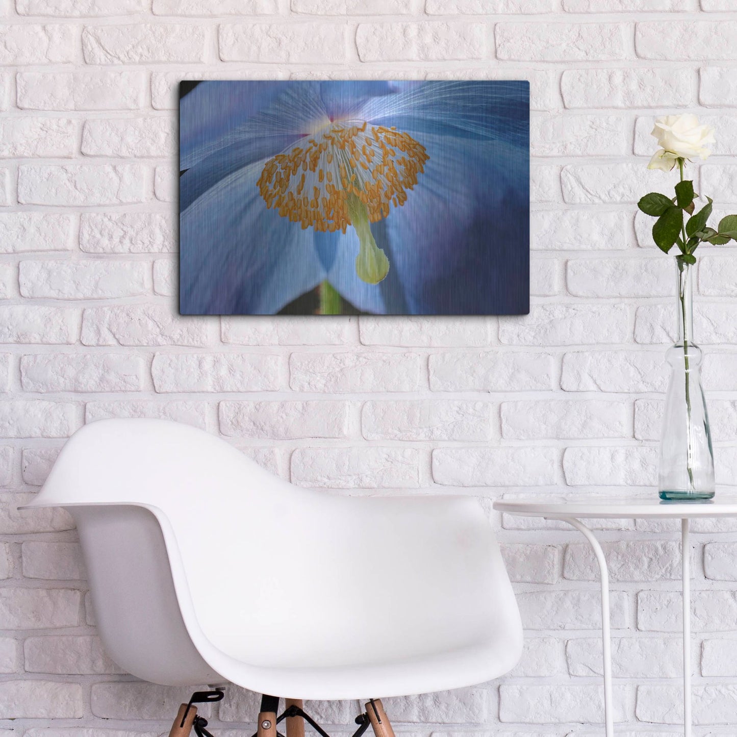 Luxe Metal Art 'Blue Poppy' by Cora Niele, Metal Wall Art,24x16