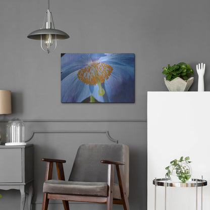 Luxe Metal Art 'Blue Poppy' by Cora Niele, Metal Wall Art,24x16