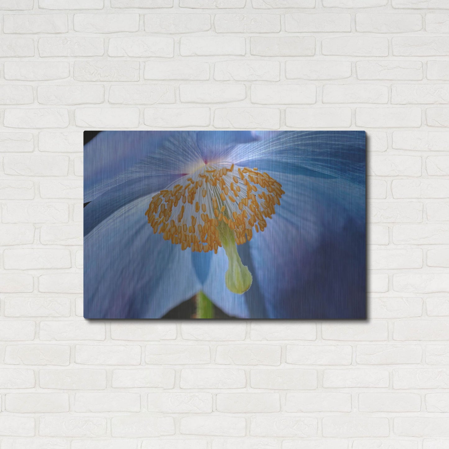 Luxe Metal Art 'Blue Poppy' by Cora Niele, Metal Wall Art,36x24