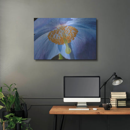 Luxe Metal Art 'Blue Poppy' by Cora Niele, Metal Wall Art,36x24