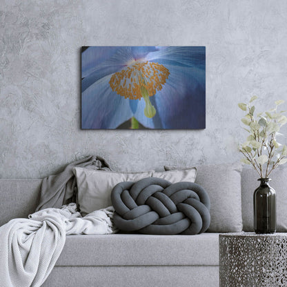 Luxe Metal Art 'Blue Poppy' by Cora Niele, Metal Wall Art,36x24