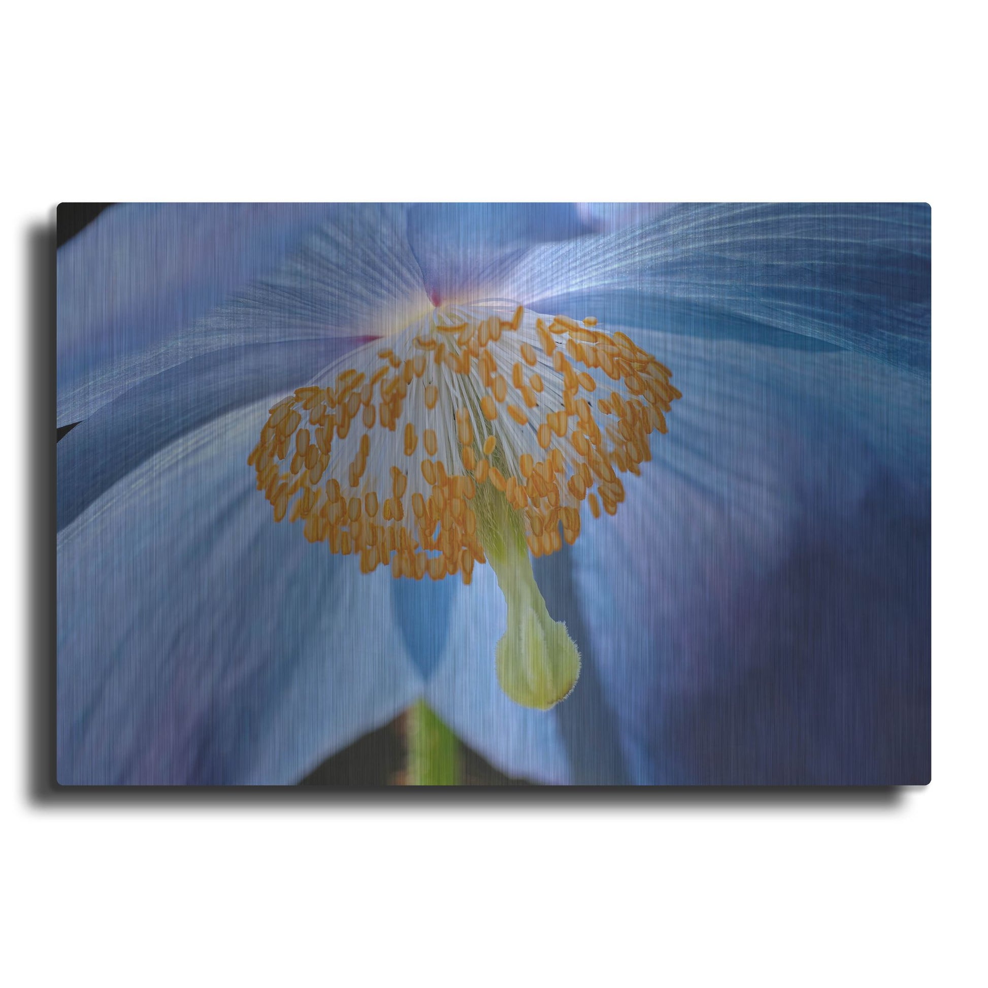 Luxe Metal Art 'Blue Poppy' by Cora Niele, Metal Wall Art