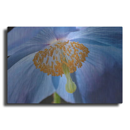 Luxe Metal Art 'Blue Poppy' by Cora Niele, Metal Wall Art