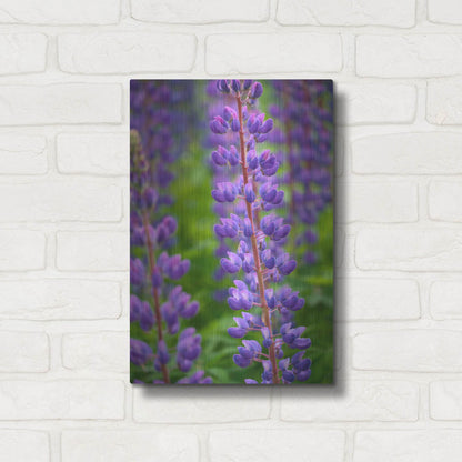 Luxe Metal Art 'Blue Violet Lupine Flower' by Cora Niele, Metal Wall Art,12x16