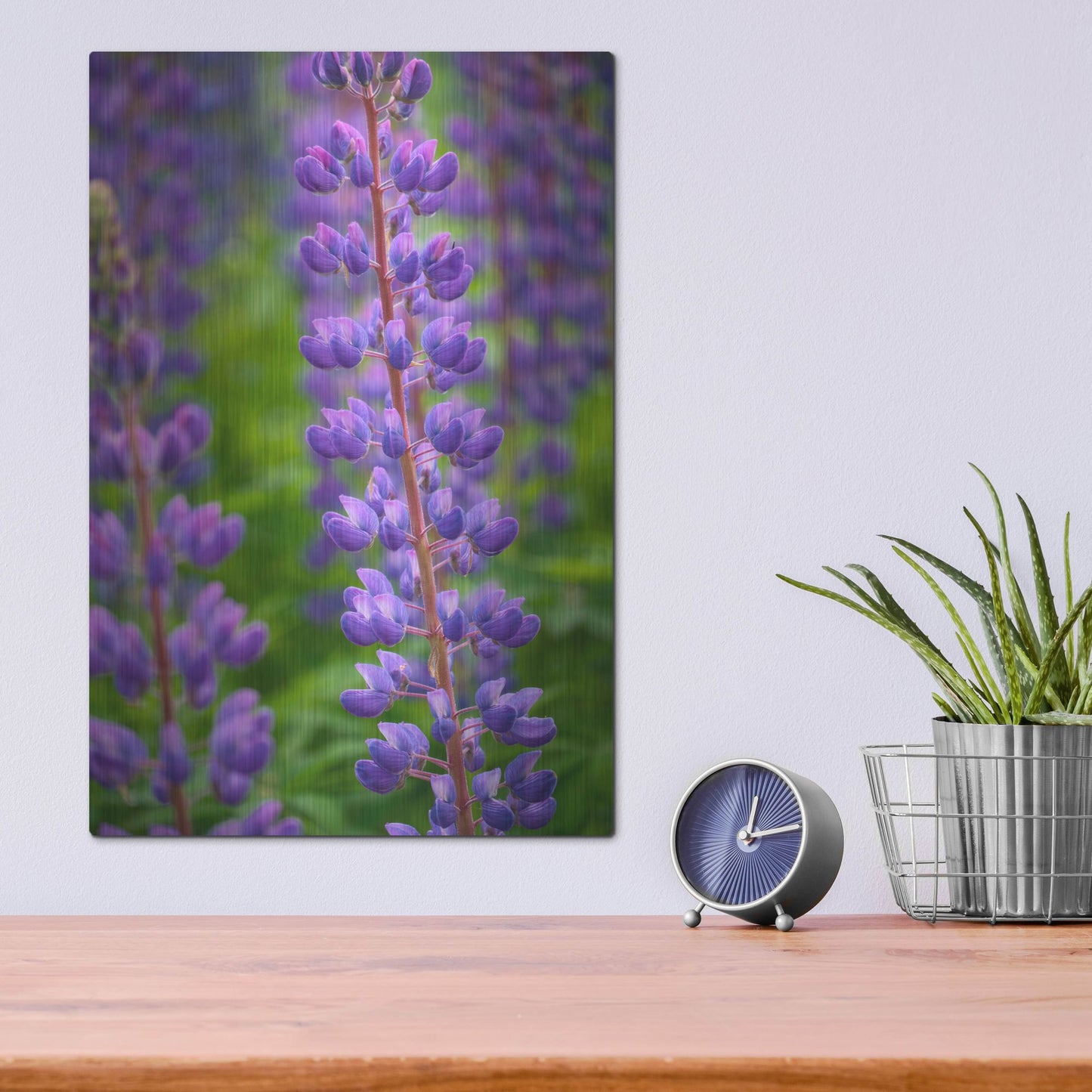 Luxe Metal Art 'Blue Violet Lupine Flower' by Cora Niele, Metal Wall Art,12x16