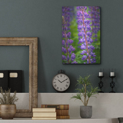 Luxe Metal Art 'Blue Violet Lupine Flower' by Cora Niele, Metal Wall Art,12x16