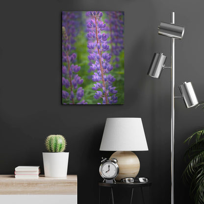 Luxe Metal Art 'Blue Violet Lupine Flower' by Cora Niele, Metal Wall Art,16x24