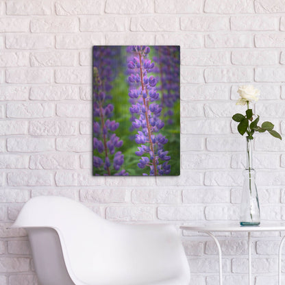 Luxe Metal Art 'Blue Violet Lupine Flower' by Cora Niele, Metal Wall Art,16x24