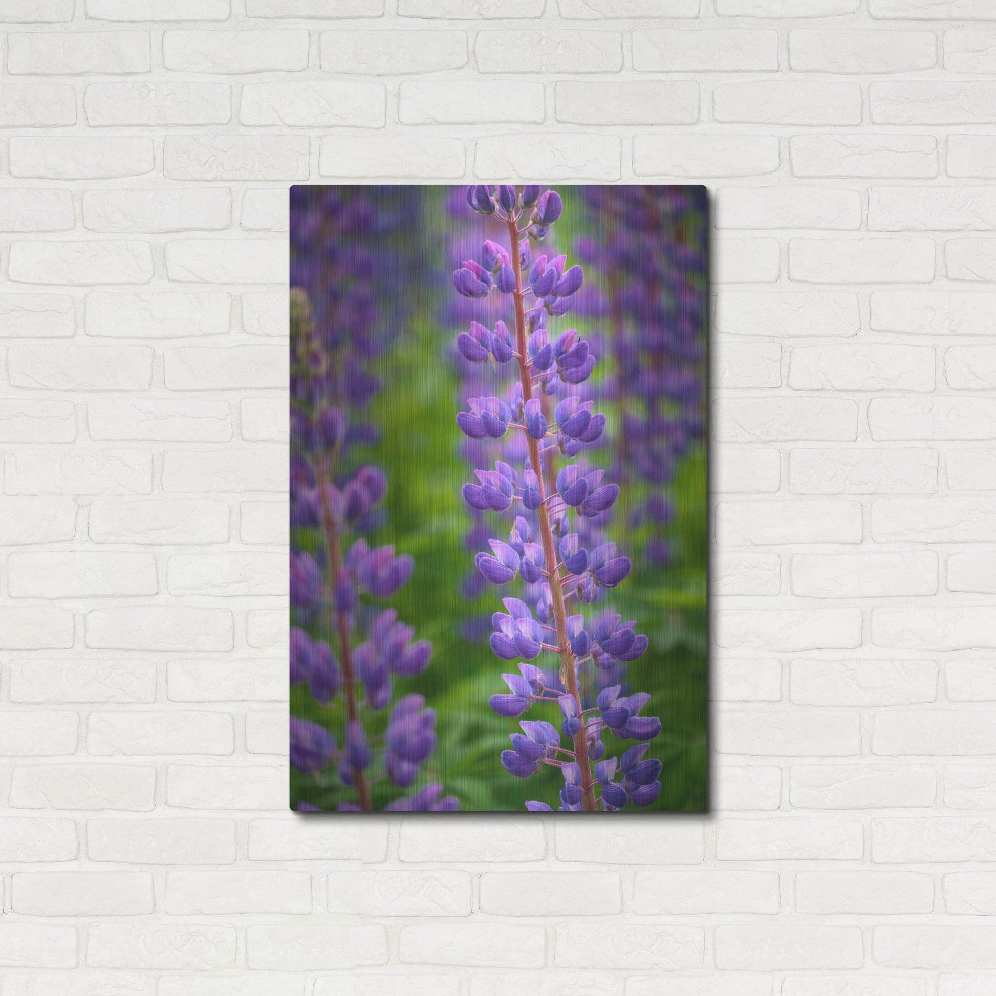 Luxe Metal Art 'Blue Violet Lupine Flower' by Cora Niele, Metal Wall Art,24x36