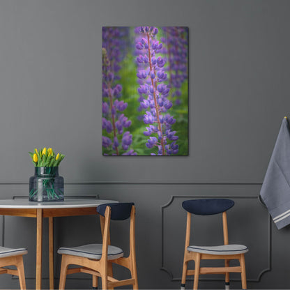 Luxe Metal Art 'Blue Violet Lupine Flower' by Cora Niele, Metal Wall Art,24x36