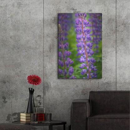 Luxe Metal Art 'Blue Violet Lupine Flower' by Cora Niele, Metal Wall Art,24x36