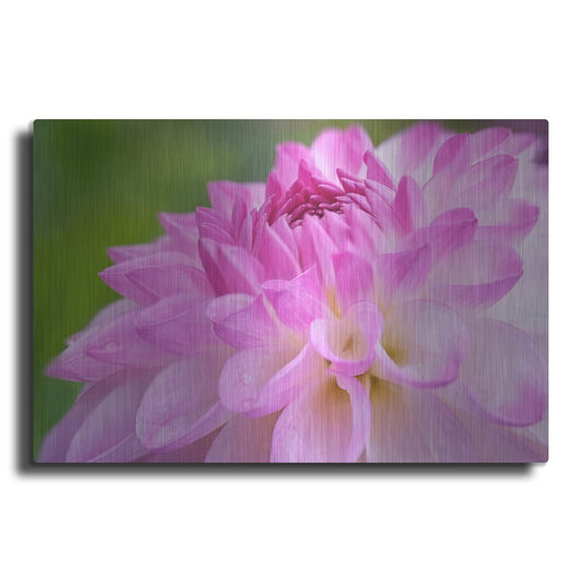 Luxe Metal Art 'Cerise Pink Dahlia' by Cora Niele, Metal Wall Art