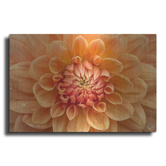 Luxe Metal Art 'Orange Dahlia' by Cora Niele, Metal Wall Art