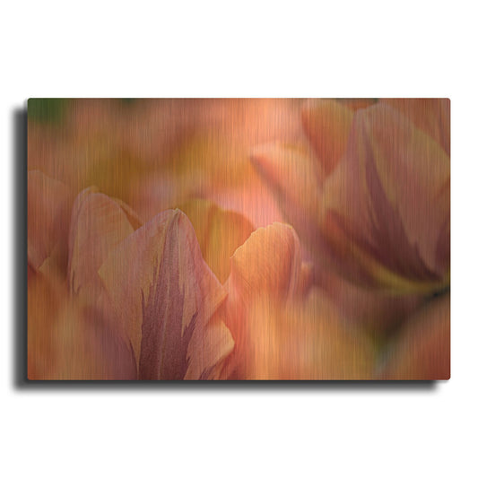 Luxe Metal Art 'Orange Tulips' by Cora Niele, Metal Wall Art