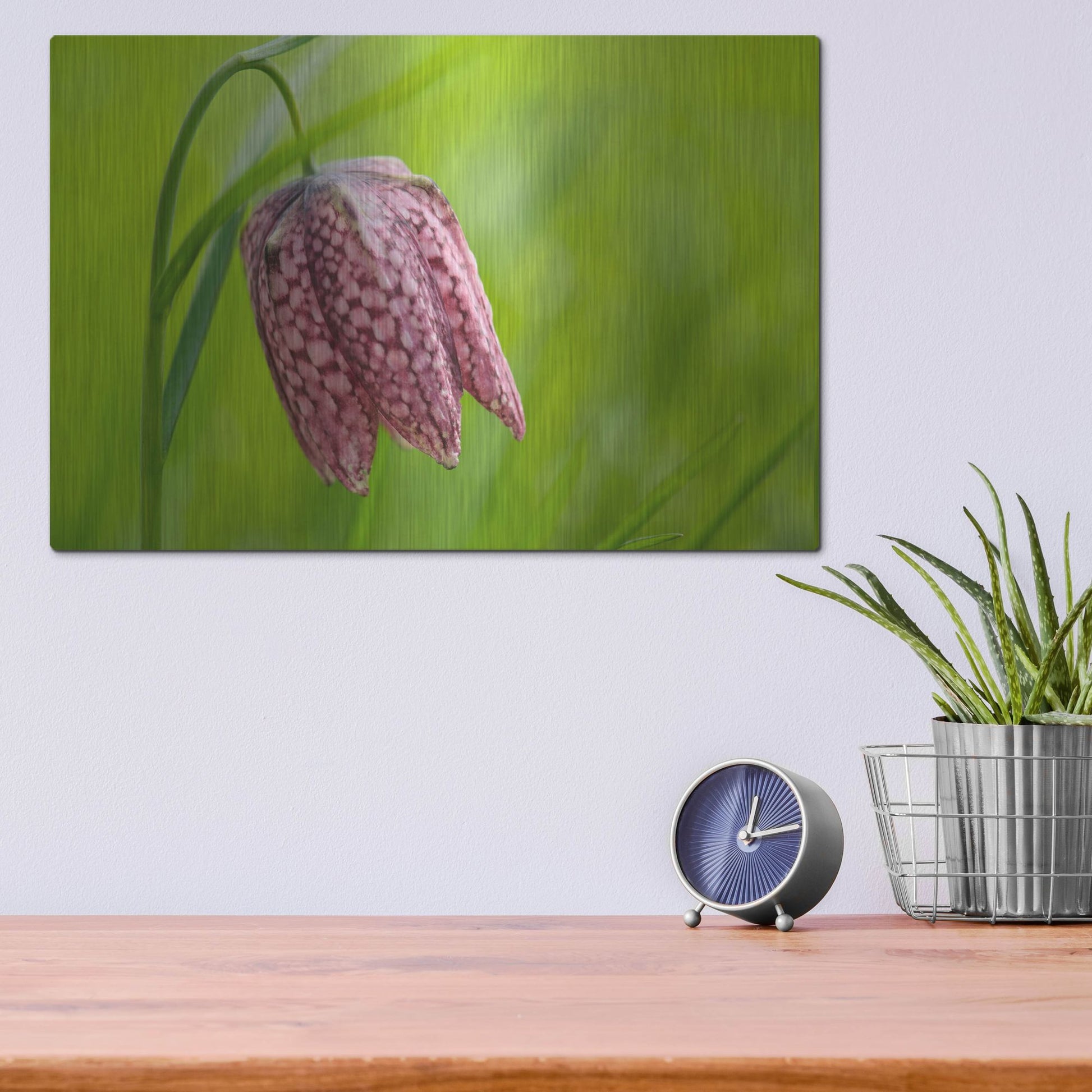 Luxe Metal Art 'Snake's Head Fritillary Flower' by Cora Niele, Metal Wall Art,16x12