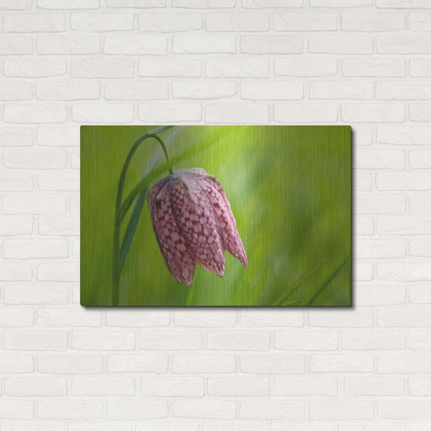 Luxe Metal Art 'Snake's Head Fritillary Flower' by Cora Niele, Metal Wall Art,36x24