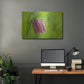 Luxe Metal Art 'Snake's Head Fritillary Flower' by Cora Niele, Metal Wall Art,36x24