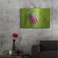 Luxe Metal Art 'Snake's Head Fritillary Flower' by Cora Niele, Metal Wall Art,36x24