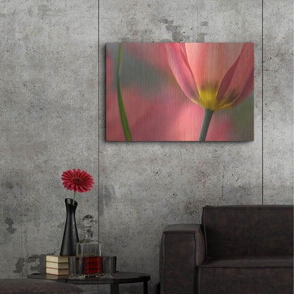 Luxe Metal Art 'Tulipa Planifolia' by Cora Niele, Metal Wall Art,36x24