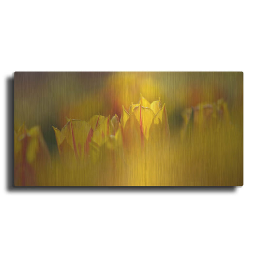 Luxe Metal Art 'Aurora Tulips' by Cora Niele, Metal Wall Art