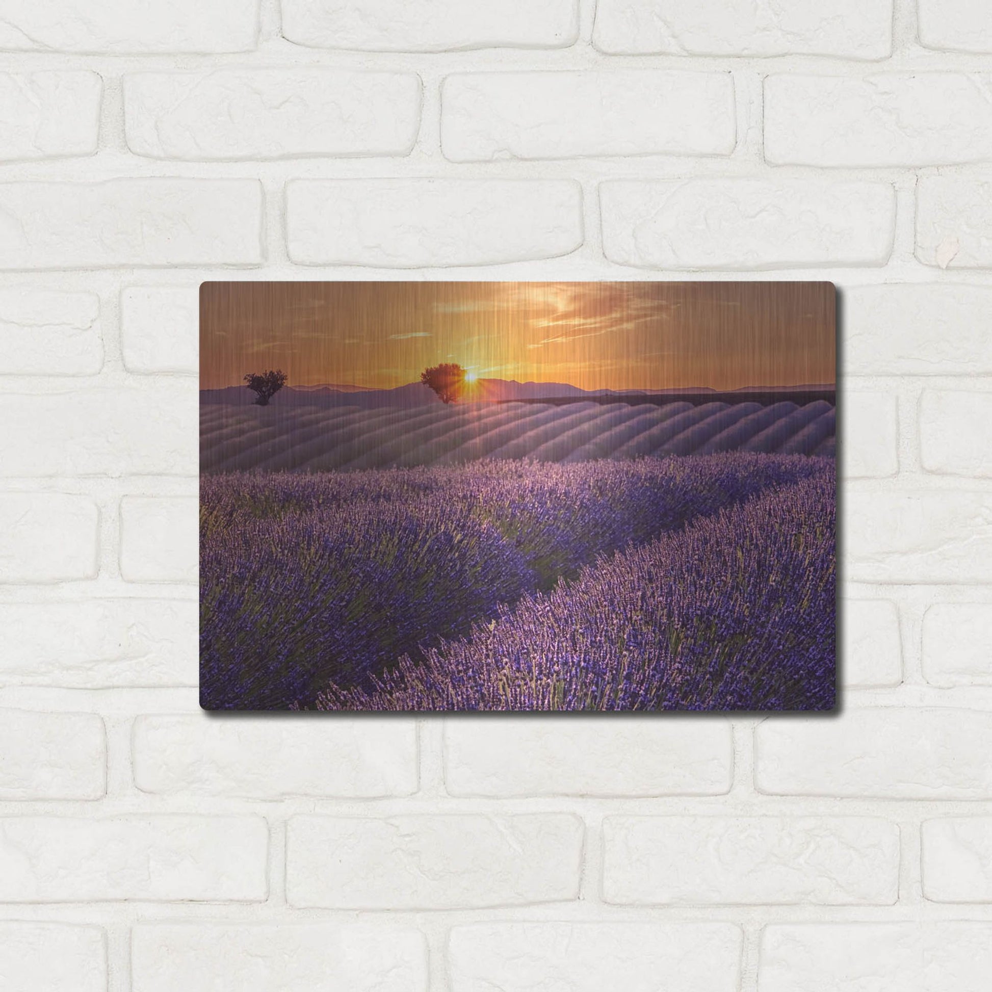 Luxe Metal Art 'Lavender Field at Sunset' by Cora Niele, Metal Wall Art,16x12