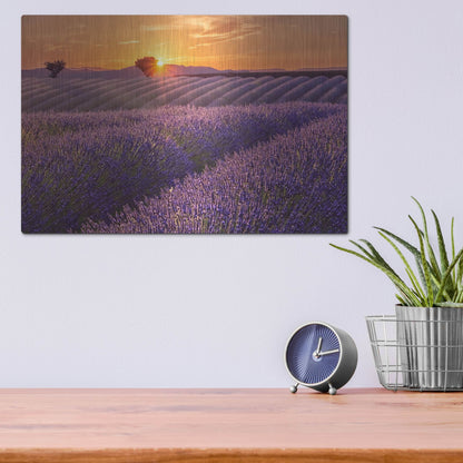 Luxe Metal Art 'Lavender Field at Sunset' by Cora Niele, Metal Wall Art,16x12