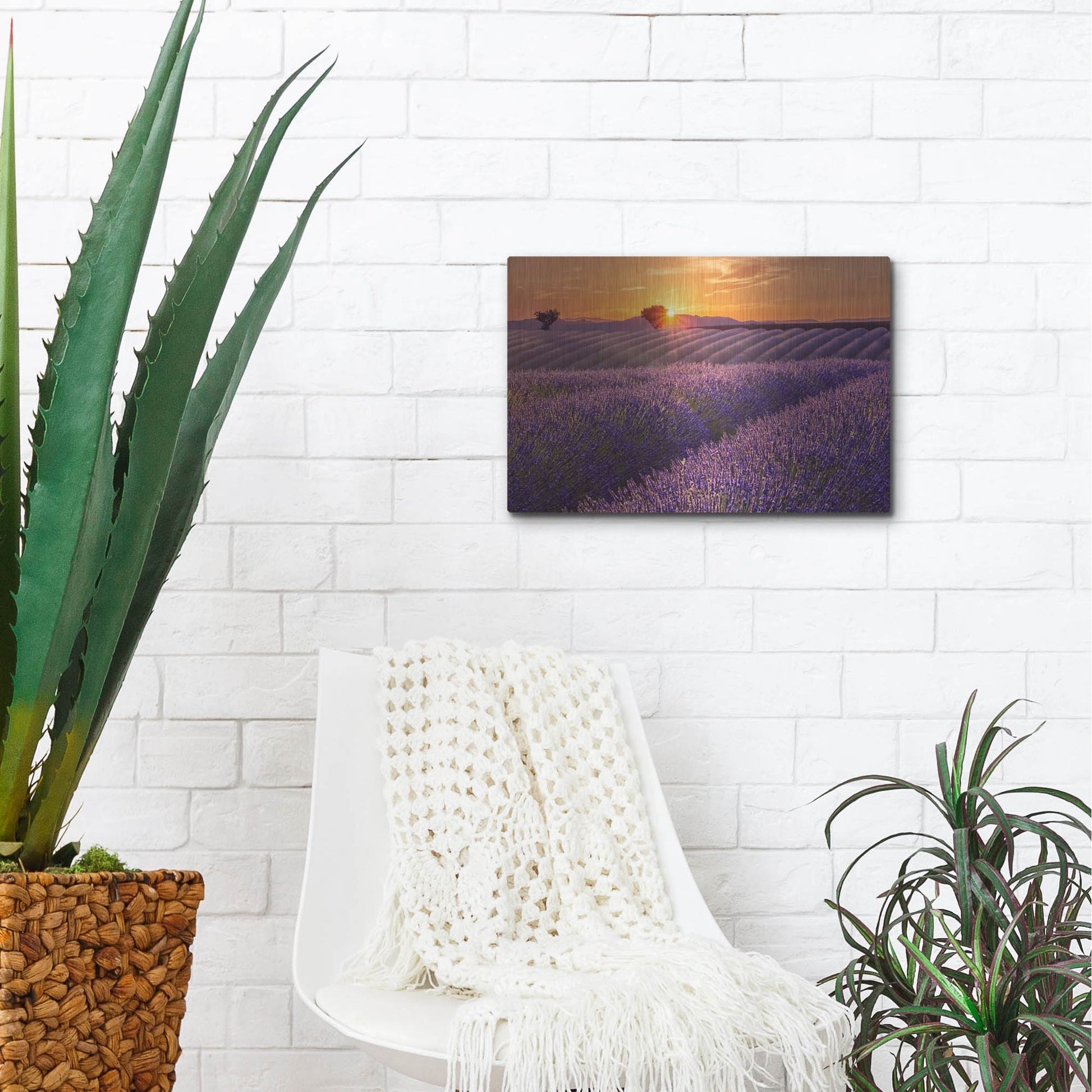 Luxe Metal Art 'Lavender Field at Sunset' by Cora Niele, Metal Wall Art,16x12