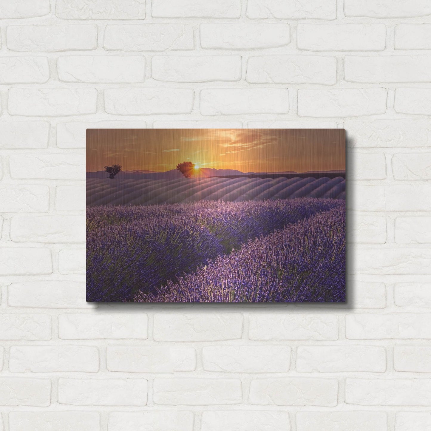 Luxe Metal Art 'Lavender Field at Sunset' by Cora Niele, Metal Wall Art,24x16