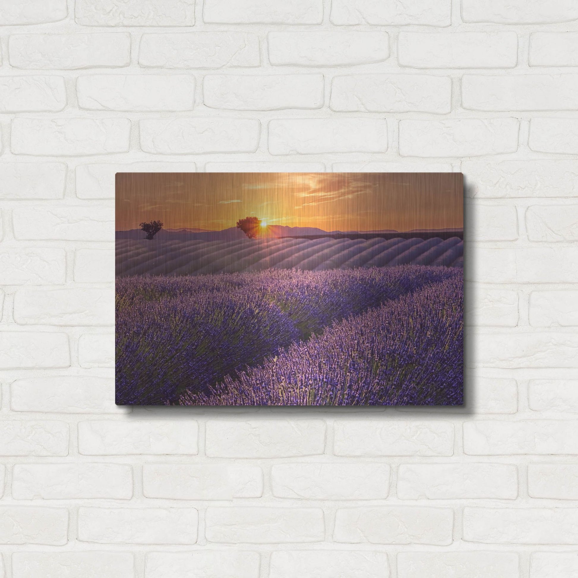 Luxe Metal Art 'Lavender Field at Sunset' by Cora Niele, Metal Wall Art,24x16