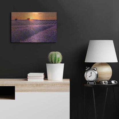 Luxe Metal Art 'Lavender Field at Sunset' by Cora Niele, Metal Wall Art,24x16