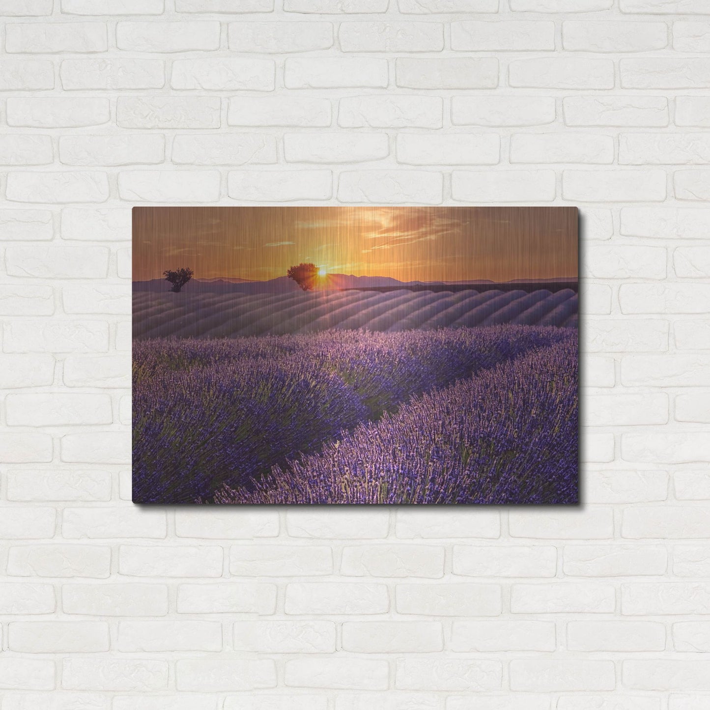 Luxe Metal Art 'Lavender Field at Sunset' by Cora Niele, Metal Wall Art,36x24