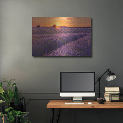 Luxe Metal Art 'Lavender Field at Sunset' by Cora Niele, Metal Wall Art,36x24