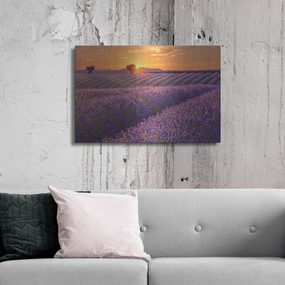 Luxe Metal Art 'Lavender Field at Sunset' by Cora Niele, Metal Wall Art,36x24