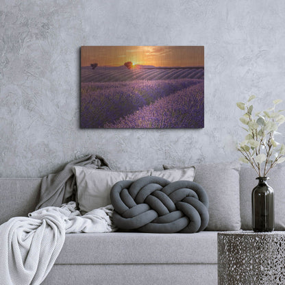 Luxe Metal Art 'Lavender Field at Sunset' by Cora Niele, Metal Wall Art,36x24