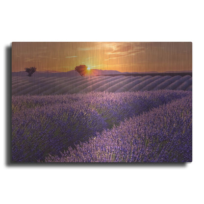 Luxe Metal Art 'Lavender Field at Sunset' by Cora Niele, Metal Wall Art