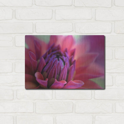 Luxe Metal Art 'Dahlia Centre Pink Purple' by Cora Niele, Metal Wall Art,16x12