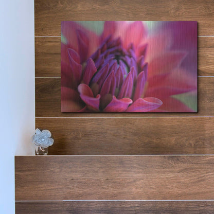 Luxe Metal Art 'Dahlia Centre Pink Purple' by Cora Niele, Metal Wall Art,16x12