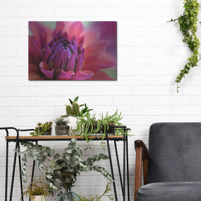 Luxe Metal Art 'Dahlia Centre Pink Purple' by Cora Niele, Metal Wall Art,16x12