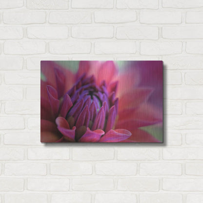 Luxe Metal Art 'Dahlia Centre Pink Purple' by Cora Niele, Metal Wall Art,24x16