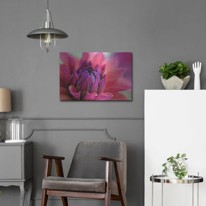 Luxe Metal Art 'Dahlia Centre Pink Purple' by Cora Niele, Metal Wall Art,24x16