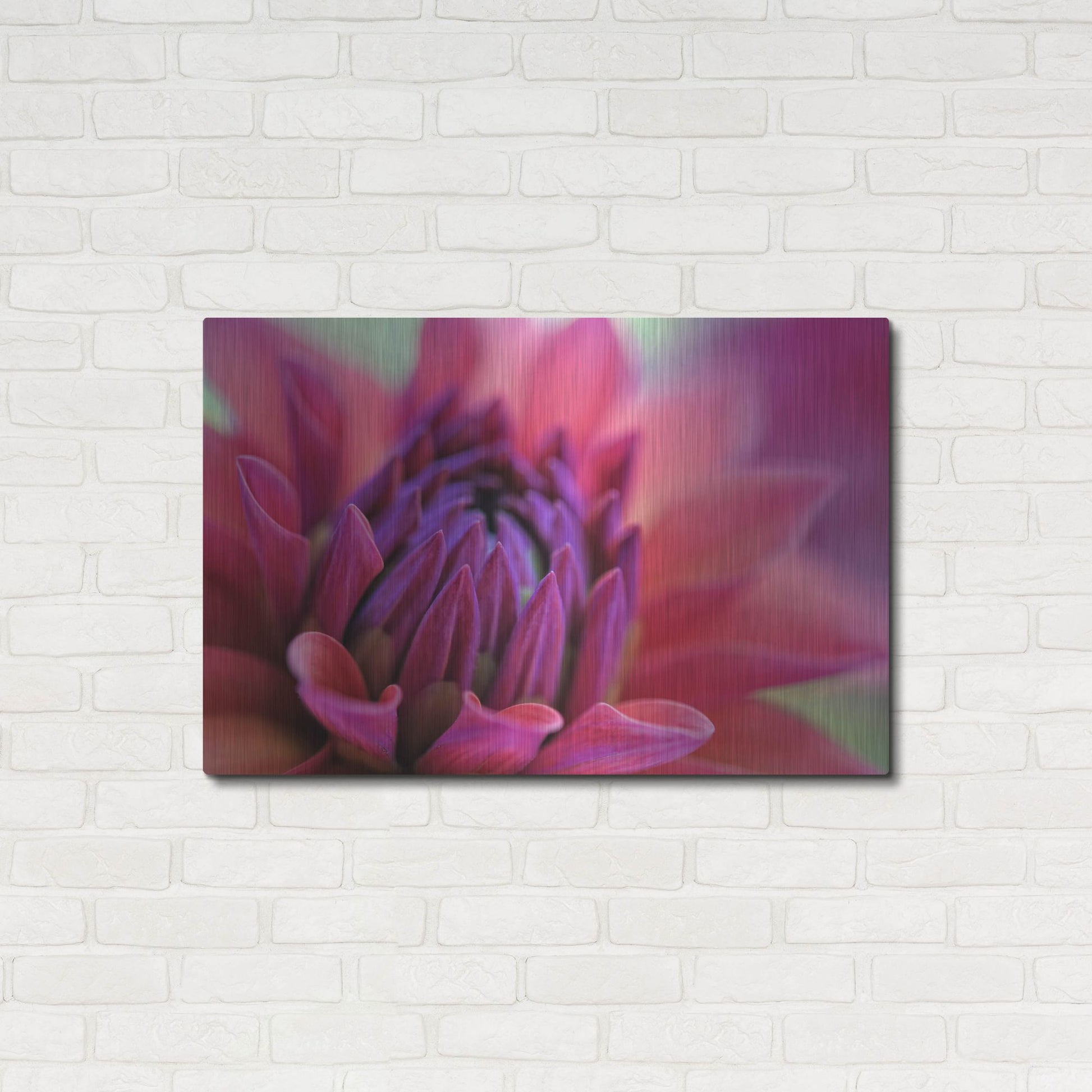 Luxe Metal Art 'Dahlia Centre Pink Purple' by Cora Niele, Metal Wall Art,36x24