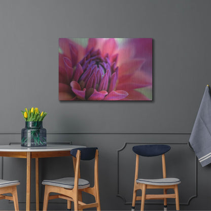 Luxe Metal Art 'Dahlia Centre Pink Purple' by Cora Niele, Metal Wall Art,36x24